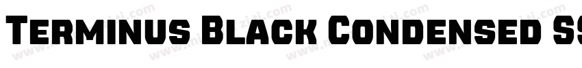 Terminus Black Condensed SSi Black字体转换